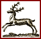 A Deer